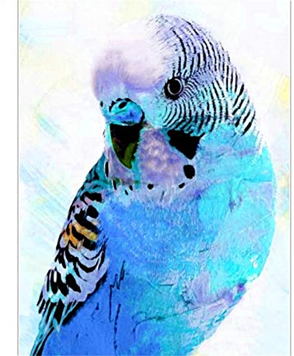 Puzzle 5000 Teile, Puzzle Erwachsene 5000 Teile, Vogel mit blauen Federn Impossible Puzzle, Puzzle Kinder Mädchen, Geschicklichkeitsspiel für die ganze Familie, Puzzle Erwachsene 5000 Teile-61.61x41.