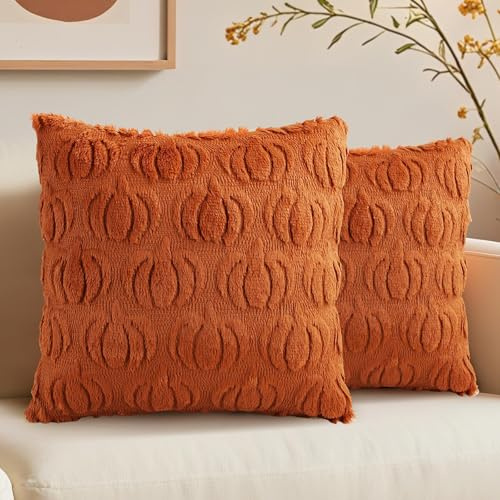 JunD Lot de 2 Housses de Coussin 45 x 45 cm – Motif Citrouille 3D Caramel, Face Fourrure Synthétique, Dos Velours, Fermeture Invisible, Déco Automne Halloween Thanksgiving pour Canapé