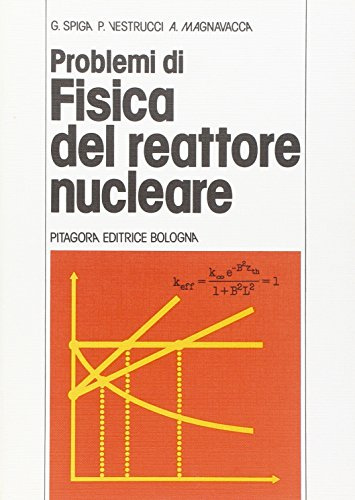 Problemi di fisica del reattore nucleare