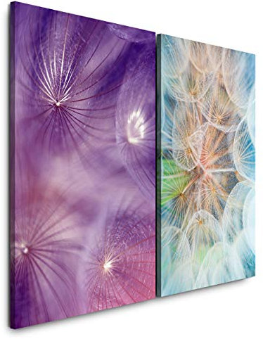 Paul Sinus Art Leinwandbilder 2 Stück je 40x60cm Makro Pusteblume Löwenzahn Frühling