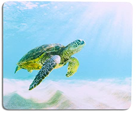 AOKSUNOVA Mauspad Klein Mousepad mit Motiv Schildkröte 24 x 20 cm | Platzsparendes Design, Angenehme Oberfläche, Komfortable Nutzung und Geeignet für Büro, Reisen Sowie Kleine Schreibtische