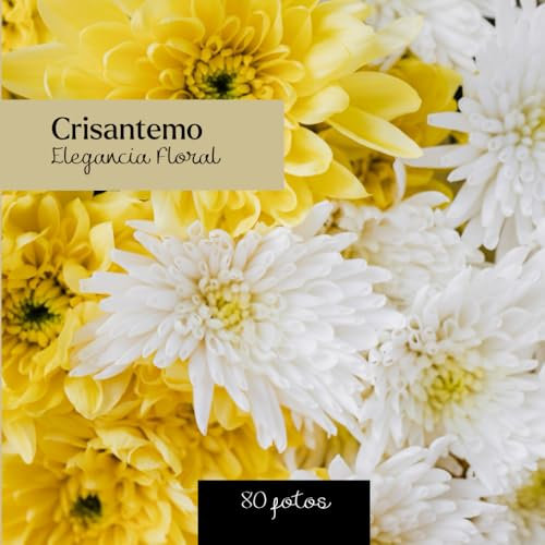 Crisantemo : Elegancia Floral: Libro fotográfico de crisantemos - 80 imágenes delicadas e inspiradoras