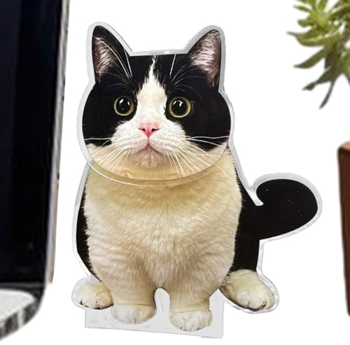 Katzen-Wackelkopf,Katzen-Wackelkopf fürs Auto - Niedliche Ornamente für das Armaturenbrett | Acryl-Auto-Armaturenbrett-Schüttelkopf-Dekoration, Desktop-Armaturenbrett-Dekoration, Ornament für Auto