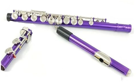 Flauto Lo strumento flauto per principianti a 16 tasti viola con foro chiuso viene fornito con kit di pulizia porta guanti barra di passaggio