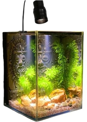 Dekorative Aquarien Aquarium aus ultraweißem Glas for den Schreibtisch, Wohnzimmer, Büro, Kampffischbecken, 15 × 20 cm für das Büro