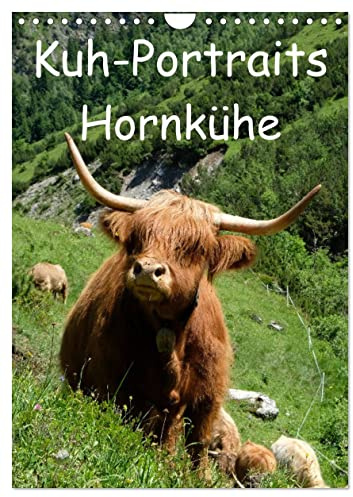 Kuhportraits Hornkühe (Wandkalender 2026 DIN A4 hoch), CALVENDO Monatskalender: Kühe mit Hörnern verschiedener Kuhrassen auf der Weide (CALVENDO Tiere)