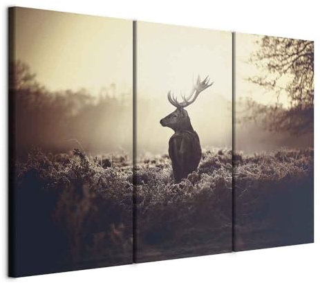 murando - Leinwandbild Natur Landschaft Tier, 120x80 cm, 3-teilig, modern | Hochwertige Leinwand, sofort aufhängbar, ideal fürs Wohn- oder Schlafzimmer, wasserfest und lichtecht, langlebig, stilvoll