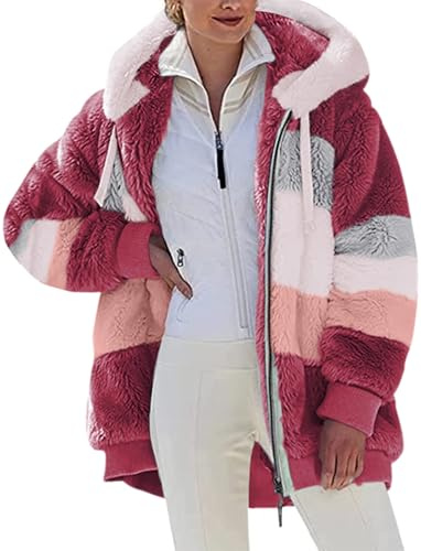 Livonmone Womens Teddy Hoodies Fleece Jackets Winter Warm Coats Full Zip Stylish Fuzzy Sweatshirt Ladies Casual Jumper Outerwear With Pockets