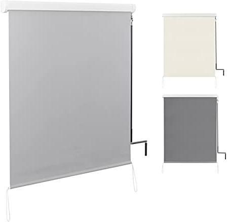 WOLTU Toldo Vertical Exterior, Estor Persiana Enrollable Retráctil con Manivela Manual, Estor para Balcón Terraza Jardín, Pantalla de Privacidad Toldo, Protección Solar UV 140x140 cm Gris