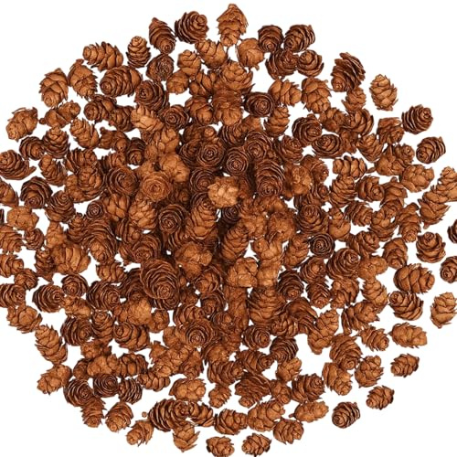 EujRcf 200 Pieces Small Pinecones, Pine Cones for Decoration, 2-3cm Pine Cones, Natural Mini Pine Cones for Crafts, Christmas Decor, DIY Holiday Projects, Festive Home Accents
