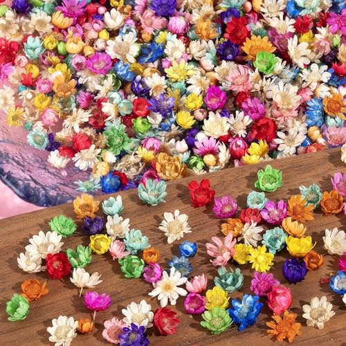 850 PCs Dried Flowers for Resin, Mini Flowers for Crafts, Colorful Natural Dried Flowers for Nail Jewelry Candle Scrapbook, DIY Decorations