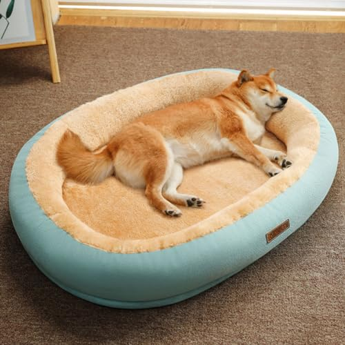 LINGXIYA Plüsch Hundematratze, Orthopädisches Hundebett, Memory Foam Hundebett, Donut Kuscheliges Hundekorb, Hundekörbchen Abnehmbar und Waschbar, für Fensterbank, Sofa, Boden, Auto, 50 * 40cm