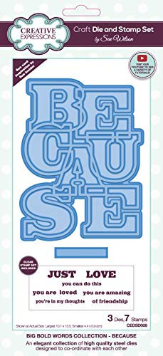 Creative Expressions Sue Wilson-Big Bold Words-Because-Craft - Juego de troqueles y sellos (metal, 10 x 13,5 cm)
