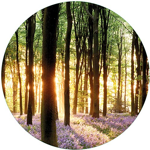 Wallario Glasbild rund Blaue Hasenglöckchen im Wald mit Sonnenstrahlen - Rund, 50 cm Durchmesser Wandbild Glas in Premium-Qualität: Brillante Farben, freischwebende Optik