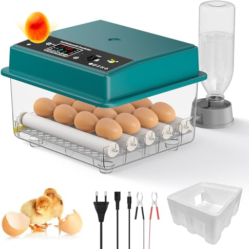 Brutautomat Vollautomatisch, Inkubator für 16-64 Eier mit Automatisches Wenden der Eier, Automatische Wasserzugabe, Temperaturregelung, Eingebaute Eierbeleuchtung, Doppeltes Netzteil (16 Eier)