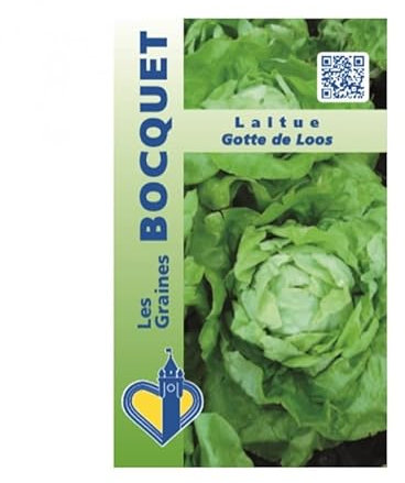 Sachet de graines de Laitue Gotte de Loos - 2 g - légume feuille - LES GRAINES BOCQUET