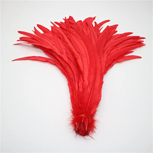 100 Uds plumas de cola de gallo naturales 25-40cm/10-16 pulgadas decoración de ropa puesta en escena plumas de gallo Plume-Red,30-35cm