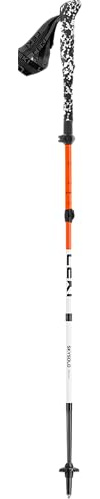 LEKI Skysolo FX Carbon