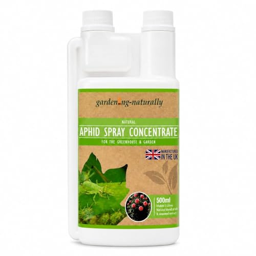 Natural Aphid Spray or Concentrate for Greenhouse & Garden Plants – Aphid Control Treatment with Seaweed Extract – Ready to Use 250ml or 500ml Makes 5L (500ml Spray Concentrate)
