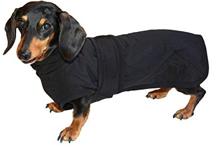 Maßanfertigung: Hundemantel kleine mittlere Hunde Dackel Dachshund Wintermantel