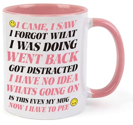 Aitsite Funny I Came I Saw I Forgot Mug, Humorous Coffee Cup,Funny Novelty Gift for Women Men Mum Dad Friend Colleague Birthday Christmas Retirement Gift,11Oz Ceramic Cup Dishwasher Safe Mugs,Pink