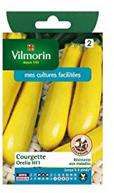 Vilmorin - Sachet graines Courgette Orelia HF1