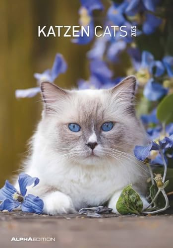 Alpha Edition - Katzen 2025 Bildkalender, 23,7x34cm, Wandkalender mit Platz für Notizen und vielen Infos, schöne Katzen-Bilder, deutsches Kalendarium und Ferientermine DE/AT/CH