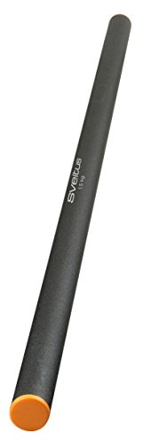 Sveltus Gewichtsstab Weighted Bar