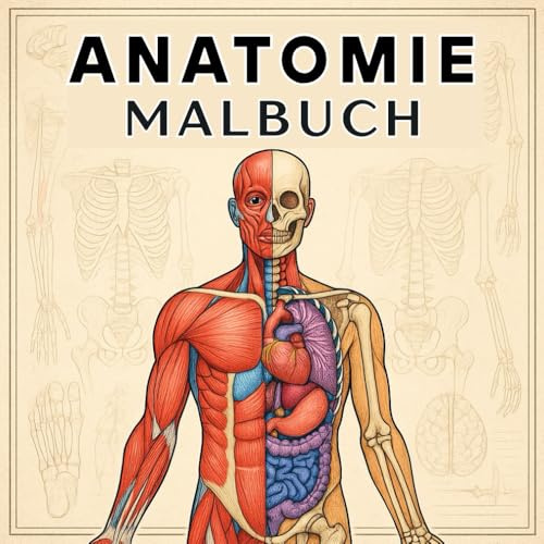 Anatomie Malbuch: Der Menschliche Körper – Anatomie des Menschen für Medizinstudium, Physiotherapie und Biologie Anatomie Physiologie