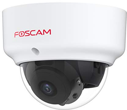 Foscam outdoor D2EP Caméra IP PoE Extérieur HD 2MP 1080p Infrarouge 20m Anti-tivandalique IK10 Détection Humaine Intelligente Compatible avec Amazon Alexa