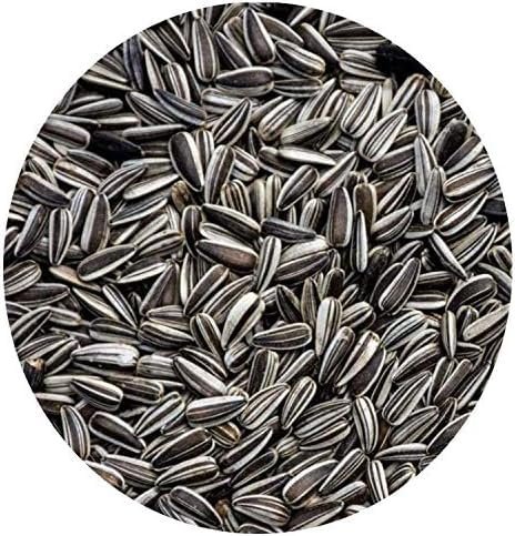 Generico Mangime Semi Girasole Piccolo Bird per Uccelli, 650g
