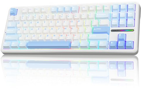 AULA F87 Kabellose Gaming Tastatur 75 Prozent,2.4G/Type-C/BT5.0 TKL Mechanical Keyboard,Fünfschichtige Gefüllte Struktur,Creamy Sound,Hot-Swap,QWERTY US-Layout,RGB Tastatur Mechanisch (Meersalzblau)
