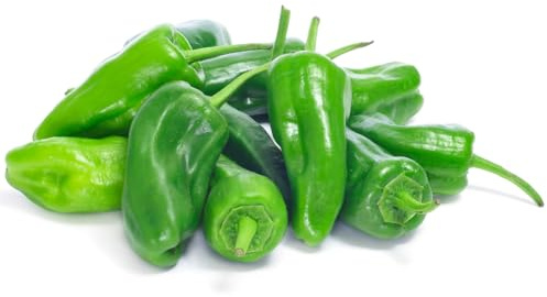 Graines de piment de Padrón pour la culture de plants de poivrons à frire – 25 graines de piments à haut taux de germination pour le jardin, le balcon et la terrasse