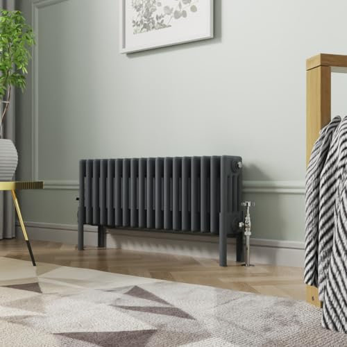 NRG Radiateur 4 colonnes en fonte Anthracite 300 x 830 mm
