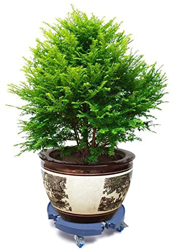 CHERIPOLI Rodillo para plantas y flores, ajustable, 40-58 cm, con capacidad de carga de 400 kg, para plantas, flores, jarrones, exterior e interior