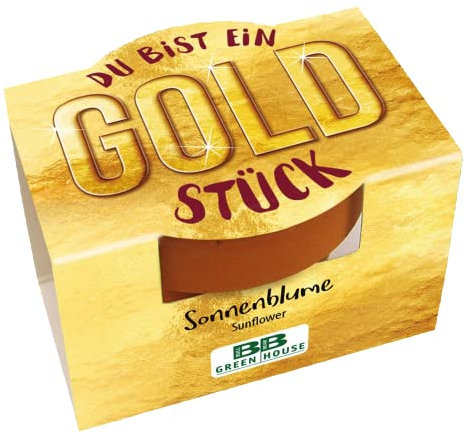 Bull & Bear Mini Pflanzset 'Du bist EIN Goldstück' mit Samen für Zwergsonnenblumen im Topf 4,5cm, Mini Sonnenblumen als Anzuchtset mit Pflegeanleitung