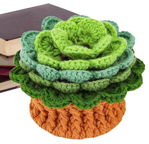 Sottobicchieri per vasi di fiori all'uncinetto, set di 6 sottobicchieri fatti a mano, kit all'uncinetto, set all'uncinetto per principianti per vasi di piante, sottobicchieri artigianali per la casa e