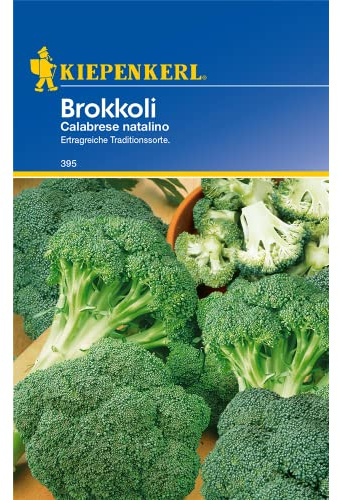 Gemüsesamen - Brokkoli Calabrese natalino von Kiepenkerl