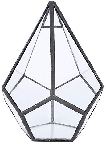 Alvinlite Glasterrarium, Pflanzen Terrarium Glas, Sukkulenten Terrarium Hausform Glas Gewächshaus Terrarium zum Selbermachen Ihre eigene Blume, Farn, Display Box Dekor Tisch Fensterbank Balkon Glas