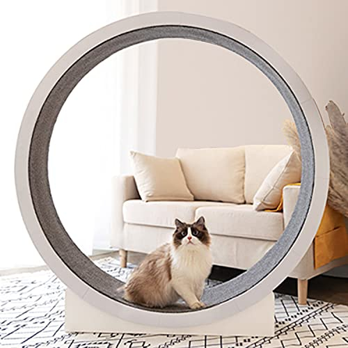 UIBAO Katze Laufband Laufrad Für Katzen Klettergerüst Für Haustiere Interaktives Katzenspielzeug Katzenbett Trainingsgerät und Spielzeug für Katzen(Size :ca 120cm)