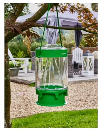 Favex Master Trap - Trappola per mosche L, trappola per mosche + ricarica, fino a 60.000 mosche, trappola trasparente da appendere o appoggiare, verde