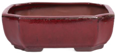 generisch Bonsai - Schale eckig 21 x 16 x 7.3 cm, Bordeaux 22124