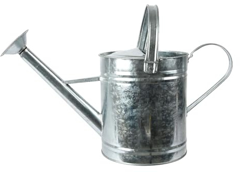 Gießkanne mit Brause 3,5L Metall - zum Gießen und Dekorieren - Zinkgießkanne für Zimmerpflanzen Balkon Garten - Gartendeko Gießgefäß - Spritzkrug Spritzkanne - Watering Can