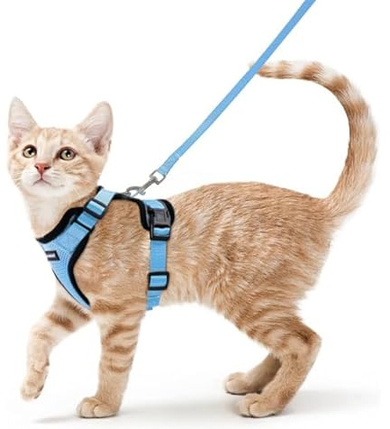 Fellnasenstube - SafeCat™ Katzengeschirr atmungsaktiv mit Leine (Babyblau,S)