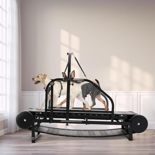 Adjustable Dog Treadmill with Pedometer for Indoor and Outdoor Exercise, Supports Pets Up to 300LBS for Healthy Lifestyle