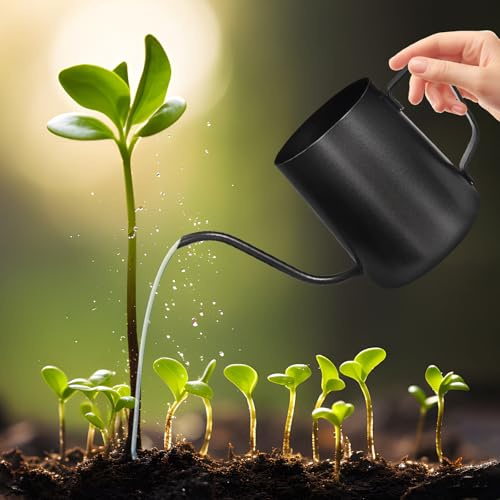 350ml Small Watering Can with Long Stainless Steel Spout, Modern Indoor Watering Can for Succulents, Houseplants and Precise Watering in Home or Garden (Black)