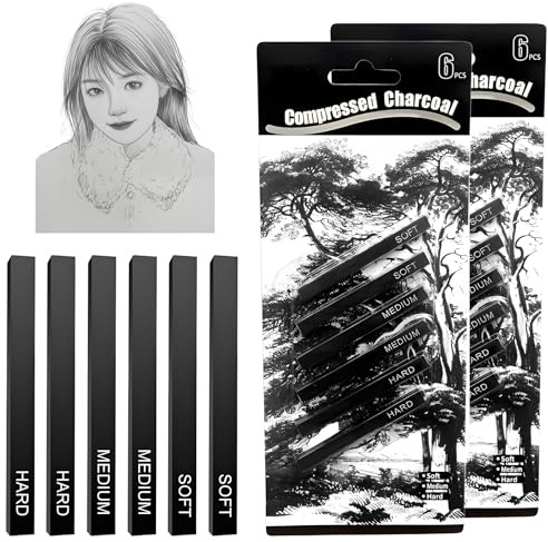 nuneoeuo 12Pcs Charcoal Pencils for Artists, Charcoal Sticks, Graphite Stick Soft Medium Hard Professional Sketching Anf Shading Sticks for Drawing Art DIY Crafts for Beginners and Professionals
