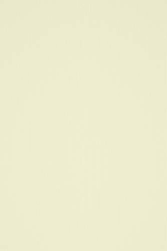Netuno 100 ark elfenbenspapper 160 g dubbelsidig filtmarkerad med linjenstruktur DIN A4 210 x 297 mm, Acquerello Avorio, perfekt för brevpapper, gratulationskort, reklammaterial, kuvert