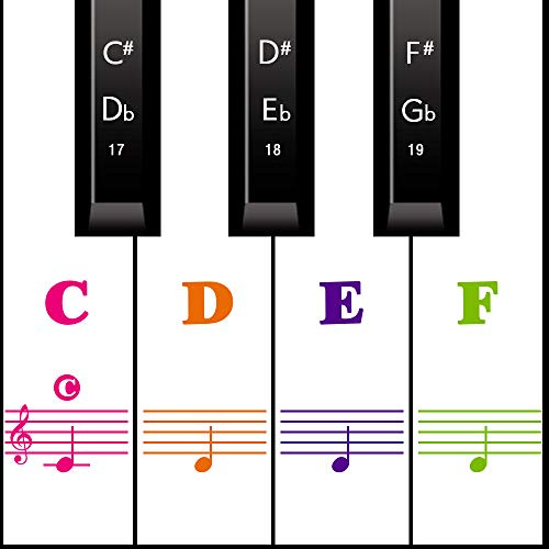 Klavier Keyboard Aufkleber für 54/61/ 76/88 Tasten | Noten Piano Sticker für weiße & schwarze Tasten Transparent und abnehmbar (Voll Farbe)