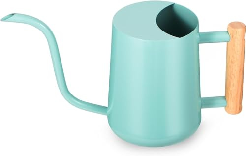 Gießkanne Zimmerpflanzen, 1L Gießkanne Klein Indoor Metall Edelstahl Moderner Dekorativer Giesskanne mit Langem Auslauf für Haus Pflanze Bonsai Outdoor Garten Blumen (Grün)